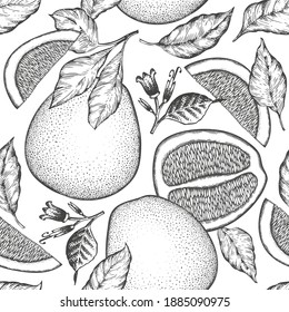 Hand drawn sketch style pomelo seamless pattern. Organic fresh fruit vector illustration. Retro fruit background