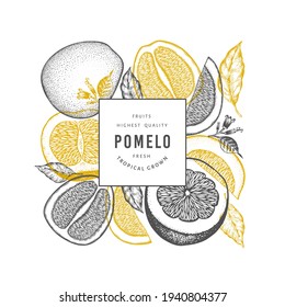 Handgezeichneter Pomelo-Banner im Skizzenstil. Organische frische Früchte, Vektorgrafik. Design-Vorlage für Retro-Früchte