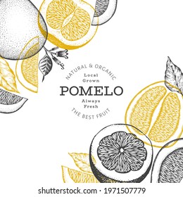 Hand drawn sketch style pomelo banner. Organic fresh fruit vector illustration. Retro fruit design template