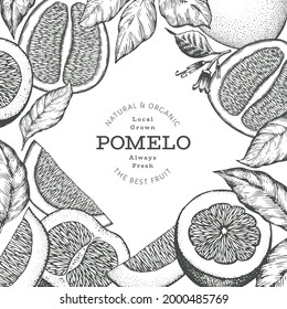 Hand drawn sketch style pomelo banner. Organic fresh fruit vector illustration. Retro fruit design template