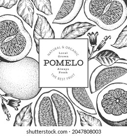 Hand drawn sketch style pomelo banner. Organic fresh fruit vector illustration. Retro fruit design template