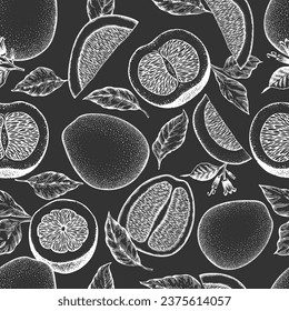 Hand drawn sketch style pomelo seamless pattern. Organic fresh fruit vector illustration on chalk board. Retro fruit background