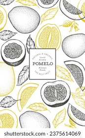 Hand drawn sketch style pomelo banner. Organic fresh fruit vector illustration. Retro fruit design template