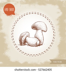 Hand drawn sketch style porcini mushroom composition. Fresh forest boletus edulis. Italian food ingredient. Fresh market product.