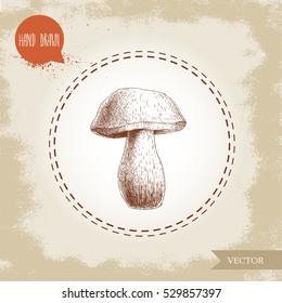 Hand drawn sketch style porcini mushroom. Fresh forest boletus edulis. Italian food ingredient. Fresh market product.