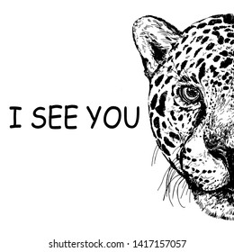 Hand drawn sketch style portrait of leopard isolated on white background. Vector illustration.