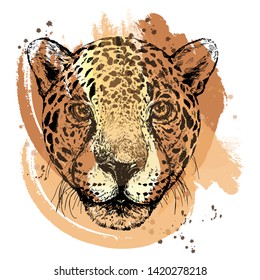 Hand drawn sketch style portrait of leopard isolated on white background. Vector illustration.