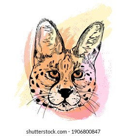 Hand drawn sketch style portrait of serval isolated on white background. Vector illustration.