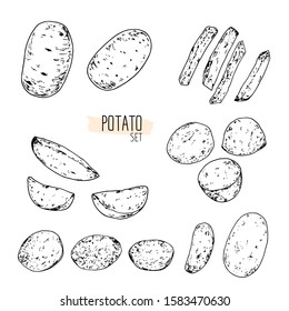 Hand drawn sketch style potato set. Potato chips, baked potatoes, potato wedges, French fries. Vector illustration. 