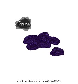 Hand drawn sketch style prunes on white background. Color illustration.