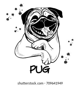 Hand drawn sketch style pug. Vector illustration isolated on white background.