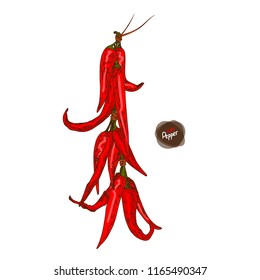 Hand drawn sketch style red Chili peppers. Bunch of red peppers. Color illustration.