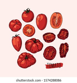 Hand drawn sketch style red tomatoes set. Ripe ahd sliced tomato. Dried tomato. Color illustration. 