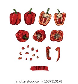 Hand drawn sketch style red sweet pepper set.  Color illustration. 
