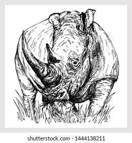 Hand drawn sketch style rhino isolated on white background. Vector illustration.