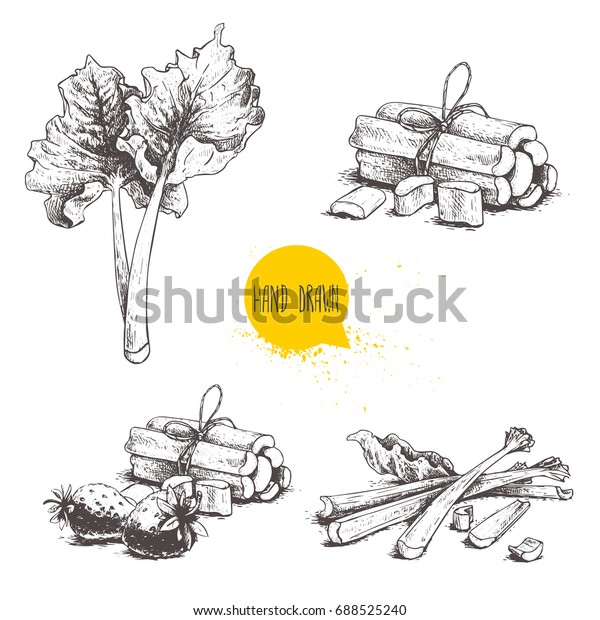 Hand drawn\
sketch style rhubarb set. leaves, bunches cut and whole with\
strawberries composition. Organic food component vector\
illustration isolated on white\
background.