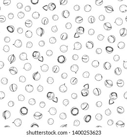 Hand drawn sketch style ripe Macadamia seamless pattern. Macadamia nut. Vector  illustration. 