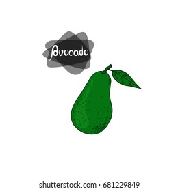 Hand drawn sketch style ripe avocado with a leaf on white background. Color illustration. 