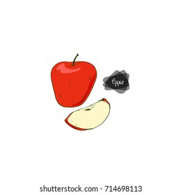 Hand drawn sketch style ripe red apple and sliced apple on white background. Color illustration. 