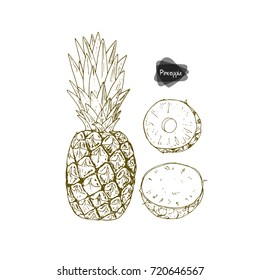 Hand drawn sketch style ripe pineapple, half and sliced pineapple on white background. Vector illustration. 