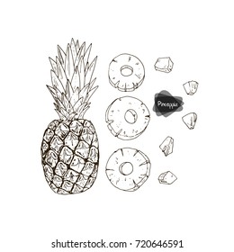 Hand drawn sketch style ripe pineapple and canned pineapple on white background. Vector illustration. 