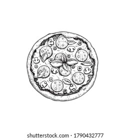 Hand drawn sketch style Salami pizza. Top view. Traditional Italian cuisine. Dough, tomato sauce,  melted mozzarella mushrooms, chopped olives and  basil leaves. Best for pizzeria menus, packages etc