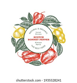 Hand drawn sketch style scotch bonnet pepper banner. Organic fresh vegetable vector illustration. Retro cayenne pepper design template