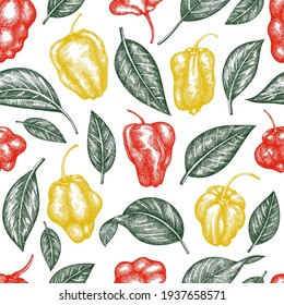 Hand drawn sketch style scotch bonnet pepper seamless pattern. Organic fresh vegetable vector illustration. Retro cayenne pepper background 