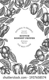 Hand drawn sketch style scotch bonnet pepper banner. Organic fresh vegetable vector illustration. Retro cayenne pepper design template