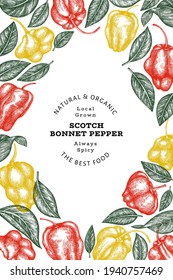 Hand drawn sketch style scotch bonnet pepper banner. Organic fresh vegetable vector illustration. Retro cayenne pepper design template