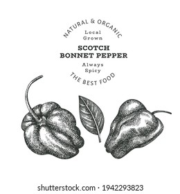 Hand drawn sketch style scotch bonnet pepper. Organic fresh food vector illustration isolated on white background. Retro plant illustration. Engraved botanical style cayenne pepper.