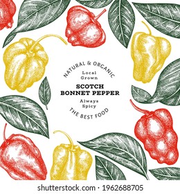 Hand drawn sketch style scotch bonnet pepper banner. Organic fresh vegetable vector illustration. Retro cayenne pepper design template