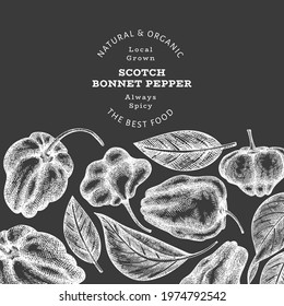 Hand drawn sketch style scotch bonnet pepper banner. Organic fresh vegetable vector illustration on chalk board. Retro cayenne pepper design template