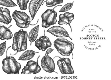 Hand drawn sketch style scotch bonnet pepper banner. Organic fresh vegetable vector illustration. Retro cayenne pepper design template