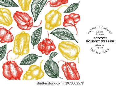 Hand drawn sketch style scotch bonnet pepper banner. Organic fresh vegetable vector illustration. Retro cayenne pepper design template