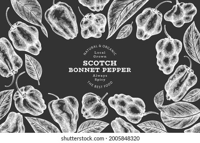 Hand drawn sketch style scotch bonnet pepper banner. Organic fresh vegetable vector illustration on chalk board. Retro cayenne pepper design template