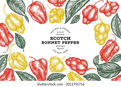 Hand drawn sketch style scotch bonnet pepper banner. Organic fresh vegetable vector illustration. Retro cayenne pepper design template