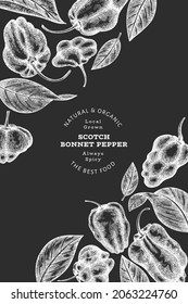 Hand drawn sketch style scotch bonnet pepper banner. Organic fresh vegetable vector illustration on chalk board. Retro cayenne pepper design template
