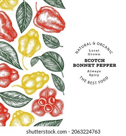 Hand drawn sketch style scotch bonnet pepper banner. Organic fresh vegetable vector illustration. Retro cayenne pepper design template