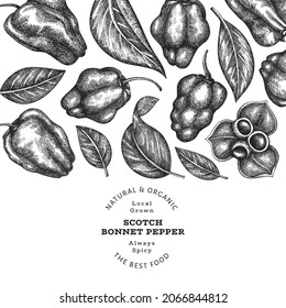 Hand drawn sketch style scotch bonnet pepper banner. Organic fresh vegetable vector illustration. Retro cayenne pepper design template