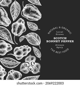 Hand drawn sketch style scotch bonnet pepper banner. Organic fresh vegetable vector illustration on chalk board. Retro cayenne pepper design template