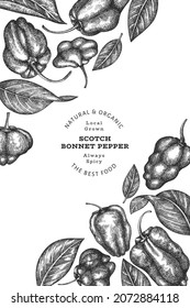 Hand drawn sketch style scotch bonnet pepper banner. Organic fresh vegetable vector illustration. Retro cayenne pepper design template