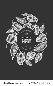 Hand drawn sketch style scotch bonnet pepper banner. Organic fresh vegetable vector illustration on chalk board. Retro cayenne pepper design template