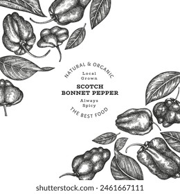 Hand drawn sketch style scotch bonnet pepper banner. Organic fresh vegetable vector illustration. Retro cayenne pepper design template