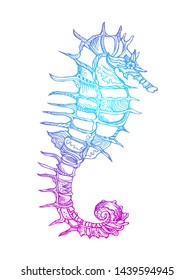 Hand drawn sketch style sea horse. Vector illustration isolated on white background.