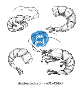 Hand drawn sketch style seafood set. Shripms, prawns collection vector illustrations.