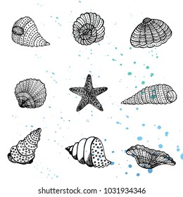 Hand drawn sketch style Seashell.Vector illustration isolated on white background.