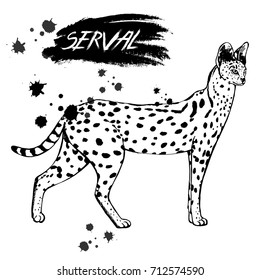 Hand drawn sketch style serval. Vector illustration isolated on white background.