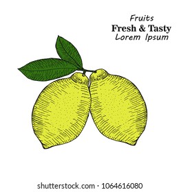 Hand drawn sketch style set of lemon fruit with leafs and sliced lemon.