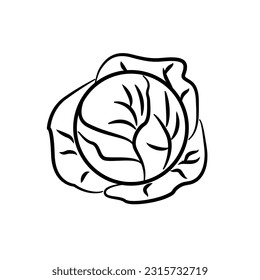 Hand drawn sketch style set of cabbages. Cabbage with leafs. Organic fresh food vector illustration isolated on white background. Organic food. Linear style. Vector illustration for design